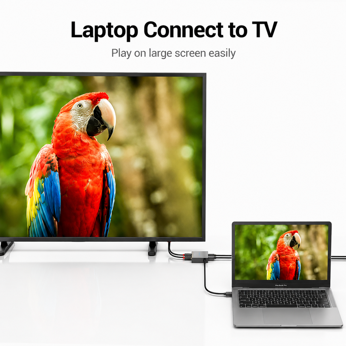 A laptop connected via cable to a larger TV screen, both displaying a colorful red and blue parrot image. Text at the top reads 'Laptop Connect to TV' with smaller text 'Play on large screen easily.