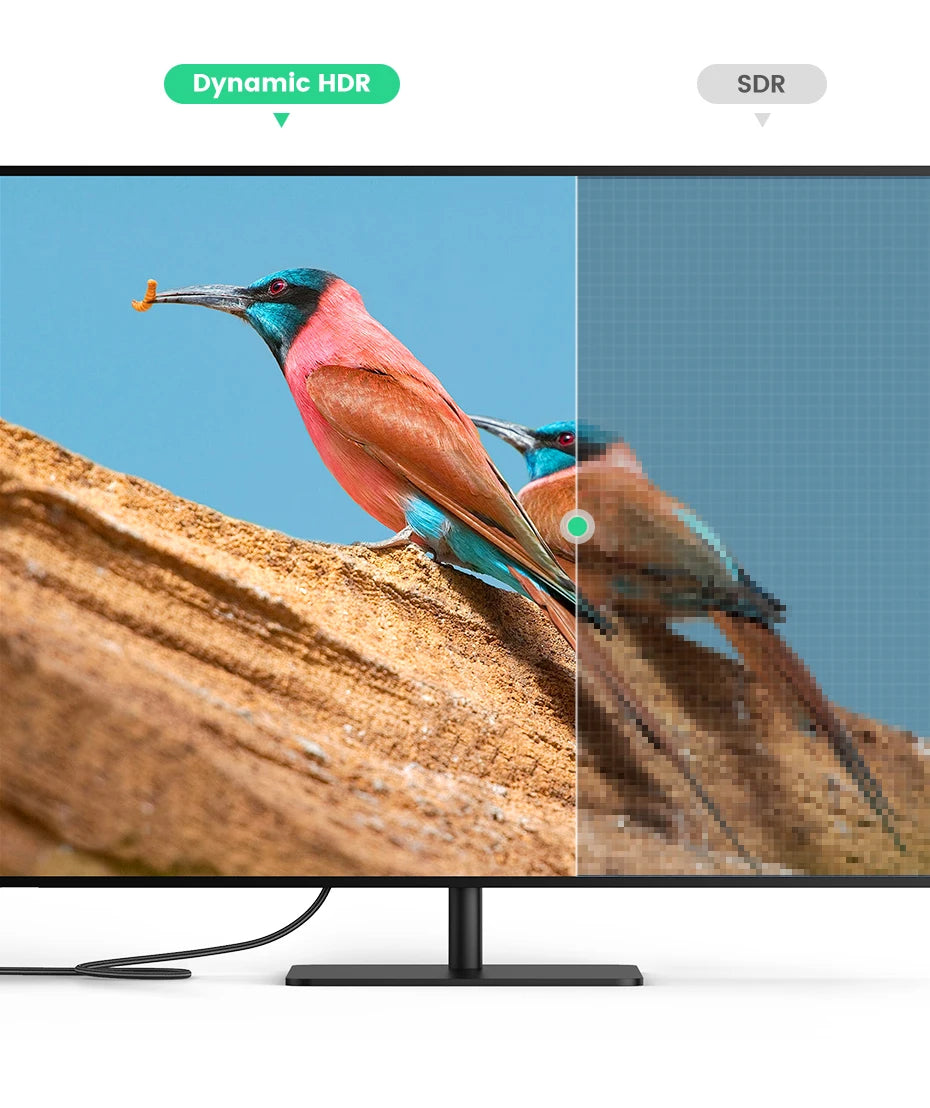 Comparison of Dynamic HDR and SDR on a TV screen with a colorful bird on a rock.